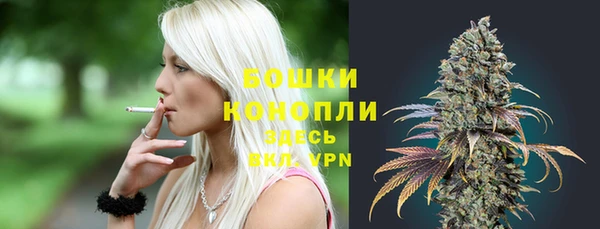 ПСИЛОЦИБИНОВЫЕ ГРИБЫ Няндома